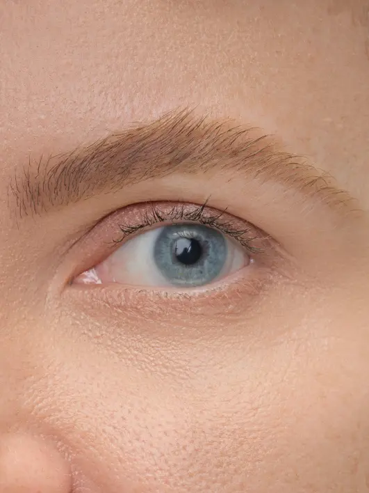 Brow Artist - Image 3