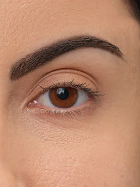 Brow Artist - Image 50