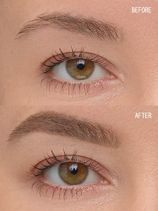 Brow Artist - Image 9
